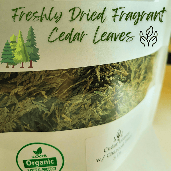 Cedar Tree Leaves with Charcoal Discs for Easy Burning, Smudging, Energy Cleansing, 100% Pure Organic & Sustainable, Natural Incense