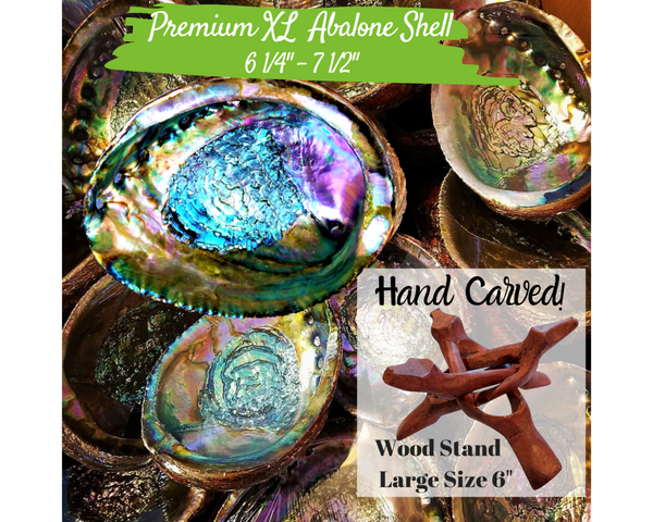 Large Abalone Shell Smudge Bowl, 6"-7," 5"-6" Choices with Wood Stand Option for Smudging, Sage Burning, Incense, Altar Supplies, Home Decor, Worldly Finds, Worldly Finds 