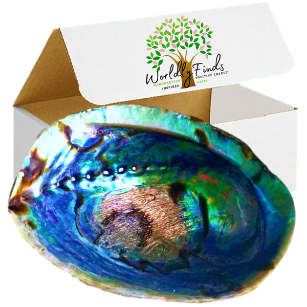 Beautiful Large Abalone Shell, Hand Selected Smudge Bowl, Size Choices w/ Wood Stand Option