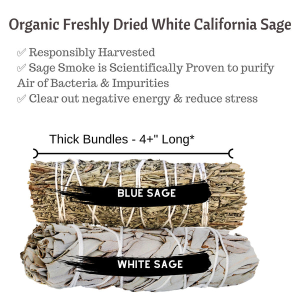 SAGE SMUDGE Sticks Bundles Refill: White Sage & Blue Sage Bulk Combo, Shaman Smudge Kit Storage Bag, Smudging Sticks, Organic Freshly Dried!