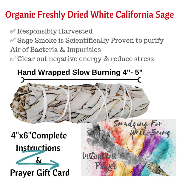 Sweet Grass Braided 12” & Smudging Sticks – Organic White Sage Smudge Bundle, Cedar Smudge Stick, Sweet Grass and Sage, Cleansing, Smudging