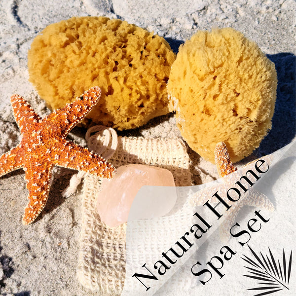 Sea Sponge 5” Natural Bath Sponge Set, Yellow Sea Sponges 2 Pack - Organic, Sustainably Hand-Cut, Himalayan Salt Chunks, Soap Saver Bag