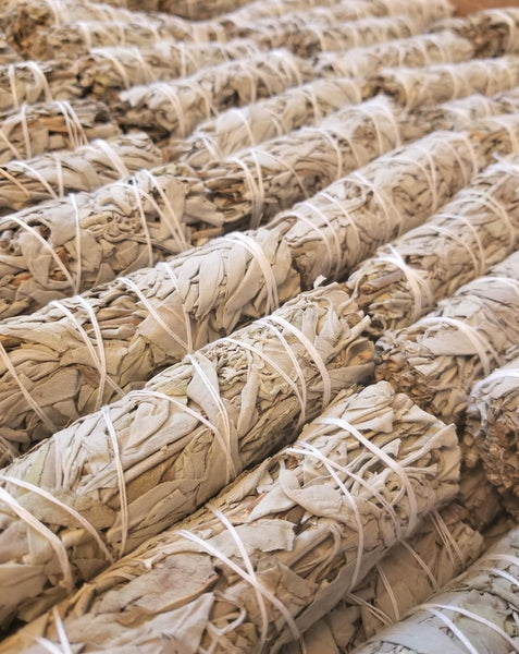 Bulk Sage Bundles Wholesale Smudge Sticks, Organic Fresh White Sage or Blue Sage Bundles