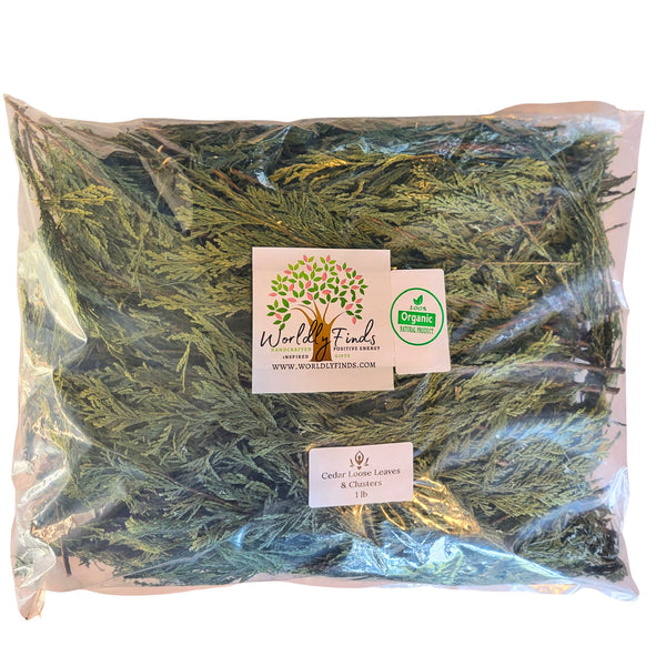 Cedar Leaf Dried Tips & Charcoal, Organic Burning Leaves - Smudging, Spiritual Cleansing, Fresh Harvest Loose Natural Incense for Herbal Use