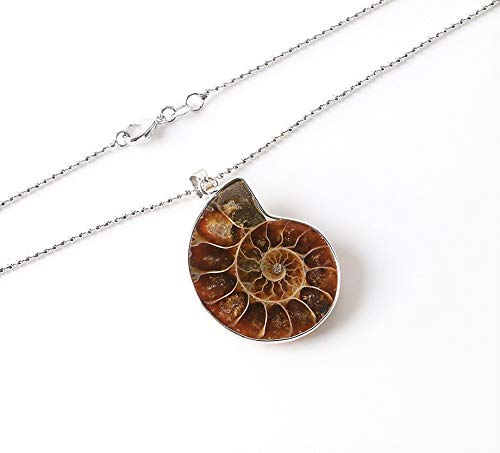 Ammonite Stone Fossil Pendant Necklace and Sage Jewelry Set, Smudge Kit, Worldly Finds, Worldly Finds 