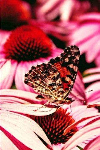Garden Journal: Butterfly and Flower Nature Journal, Journal, Daily World Finds, Worldly Finds 