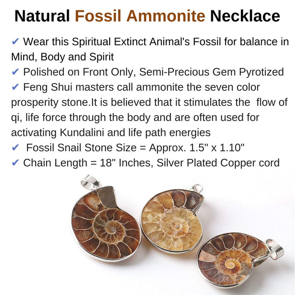 Ammonite Stone Fossil Pendant Necklace and Sage Jewelry Set, Smudge Kit, Worldly Finds, Worldly Finds 