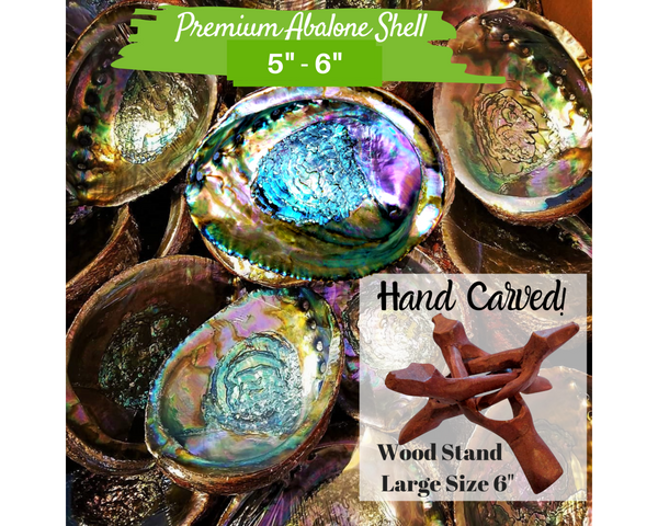 Large Abalone Shell Smudge Bowl, 6"-7," 5"-6" Choices with Wood Stand Option for Smudging, Sage Burning, Incense, Altar Supplies, Home Decor, Worldly Finds, Worldly Finds 