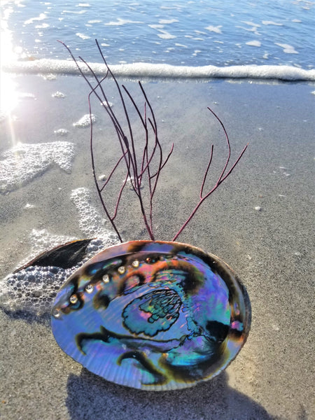 Beautiful Large Abalone Shell, Hand Selected Smudge Bowl, Size Choices w/ Wood Stand Option