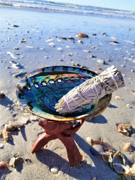 Beautiful Large Abalone Shell, Hand Selected Smudge Bowl, Size Choices w/ Wood Stand Option
