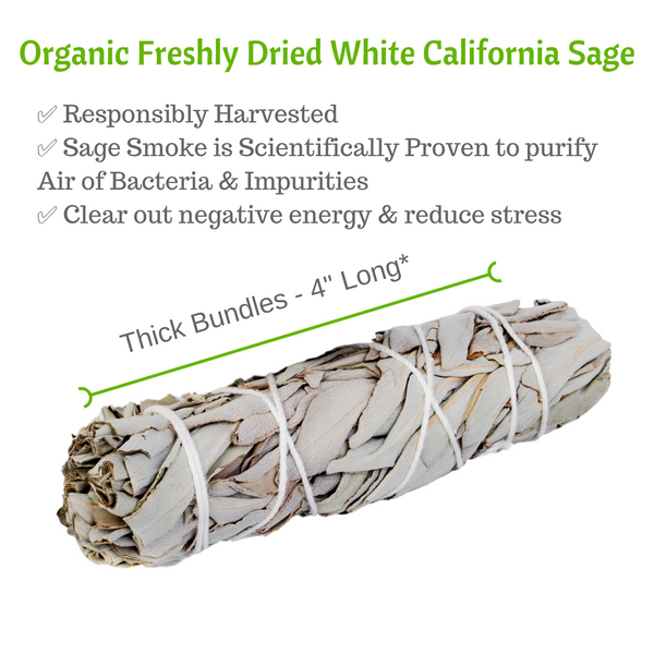 Sage Smudge Sticks, 5 White Sage Bundles Bulk Refill & Shaman Storage Bag, Sage Bundles, Worldly Finds, Worldly Finds 