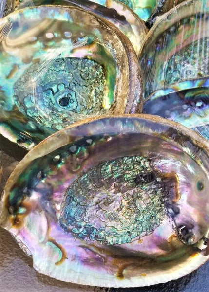 IMPERFECT Vibrant 6&quot;-7&quot; Large Abalone Shells, , Discounted! XL Abalone Shell Sage Burning Smudge Bowl Dish, Crystal Holder, Smudging Bowl