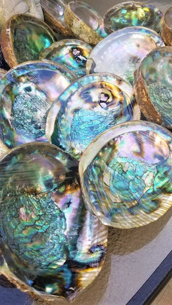 IMPERFECT Vibrant 6&quot;-7&quot; Large Abalone Shells, , Discounted! XL Abalone Shell Sage Burning Smudge Bowl Dish, Crystal Holder, Smudging Bowl