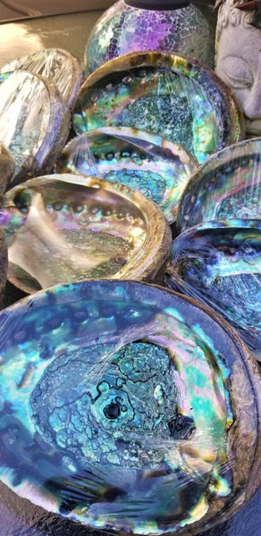 IMPERFECT Vibrant 6&quot;-7&quot; Large Abalone Shells, , Discounted! XL Abalone Shell Sage Burning Smudge Bowl Dish, Crystal Holder, Smudging Bowl