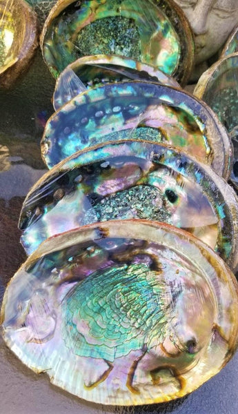 IMPERFECT Vibrant 6&quot;-7&quot; Large Abalone Shells, , Discounted! XL Abalone Shell Sage Burning Smudge Bowl Dish, Crystal Holder, Smudging Bowl