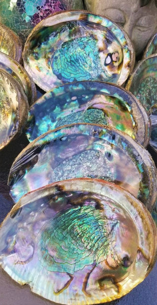 IMPERFECT Vibrant 6&quot;-7&quot; Large Abalone Shells, , Discounted! XL Abalone Shell Sage Burning Smudge Bowl Dish, Crystal Holder, Smudging Bowl