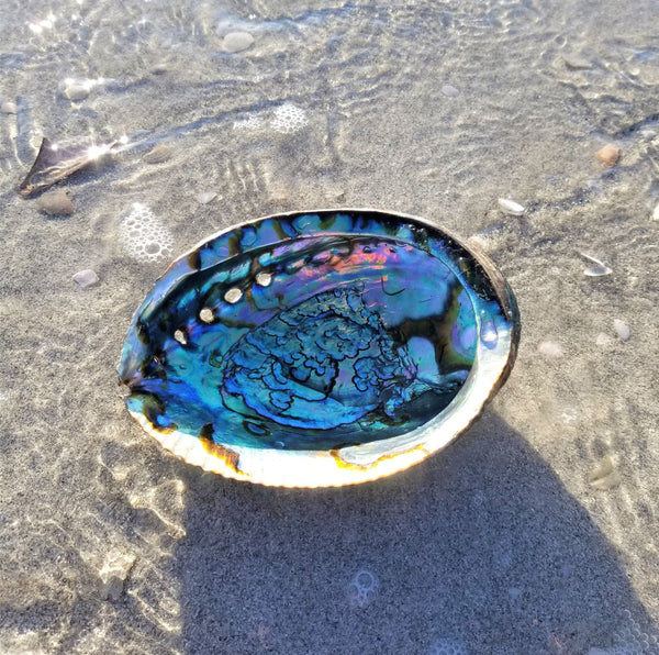 IMPERFECT Vibrant 6&quot;-7&quot; Large Abalone Shells, , Discounted! XL Abalone Shell Sage Burning Smudge Bowl Dish, Crystal Holder, Smudging Bowl