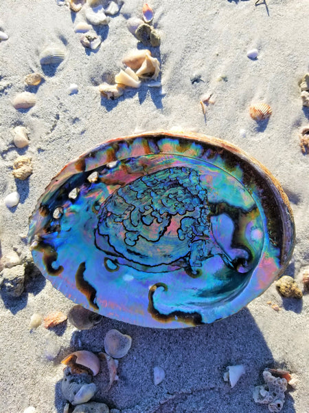 IMPERFECT Vibrant 6&quot;-7&quot; Large Abalone Shells, , Discounted! XL Abalone Shell Sage Burning Smudge Bowl Dish, Crystal Holder, Smudging Bowl