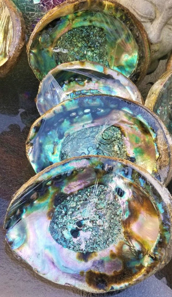 IMPERFECT Vibrant 6&quot;-7&quot; Large Abalone Shells, , Discounted! XL Abalone Shell Sage Burning Smudge Bowl Dish, Crystal Holder, Smudging Bowl