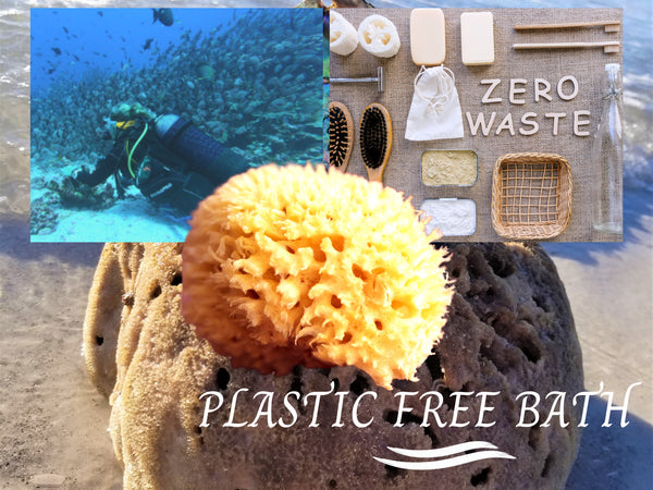 ALL NATURAL Sea Sponge, Organic High Density Hand Picked Caribbean Sea Grass Body Sponge, Anti-Fungal Biodegradable Bath Sponge for Bathing