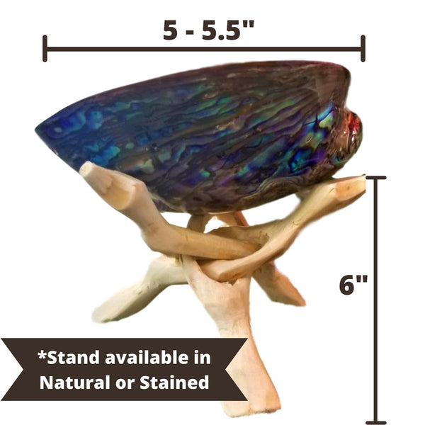 NATURAL Wood Display Stand 6" - BONUS 2 or 6 PACK Wooden Cobra Stand, Abalone Shell Stand, Artisan Hand Carved, Stained 3 Leg Tripod Holder