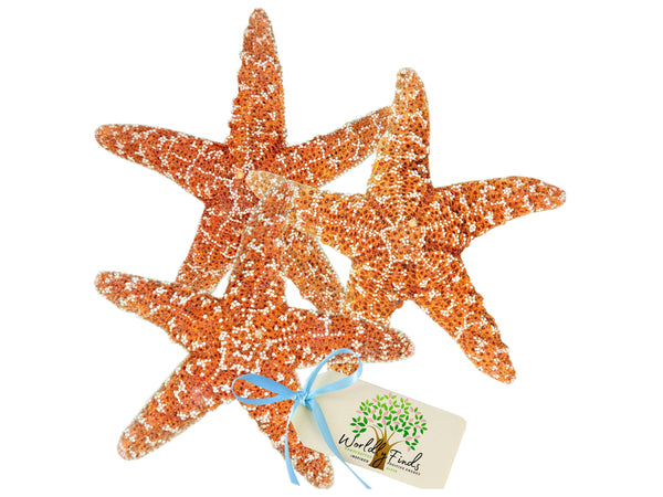 Starfish Decor Sets, Large Starfish 6-7" or 4-6" Sizes, Packed w/LOVE, Ocean Decor Display, Coastal Starfish Ornaments, Beach Wedding Decor