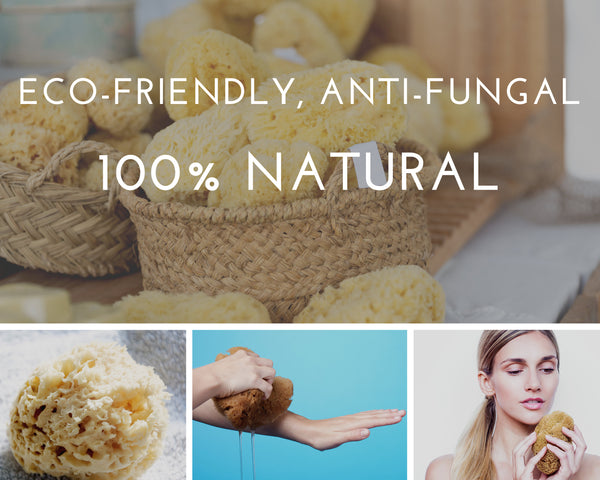 Sea Sponge 5” Natural Bath Sponge Set, Organic, Sustainably Hand-Cut, Large Himalayan Salt Chunk, Soap Saver Bag w/Soap Bar, Zero Waste Set